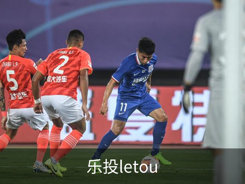 乐投letou概况